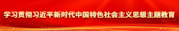 想看逼逼免费视频学习贯彻习近平新时代中国特色社会主义思想主题教育